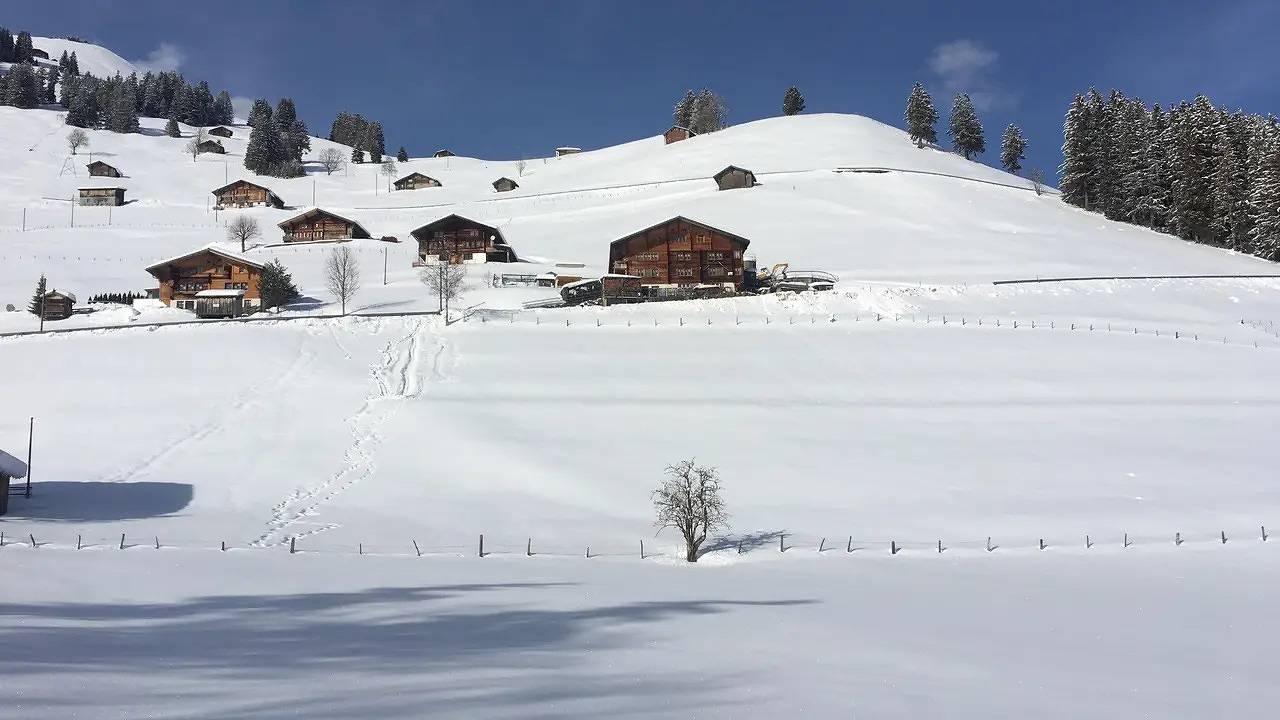 Ganze Ferienwohnung, Ferienwohnung für 9 Personen (85 m²) in Achseten in Frutigen, Frutigen - Lenk - Adelboden