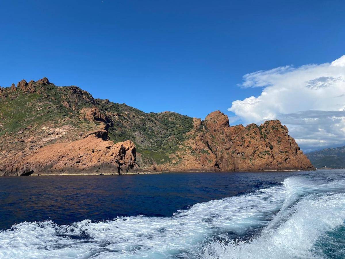 Appartement entier, Petit cocon près des Calanques de Piana in Porto (Corse), Ota