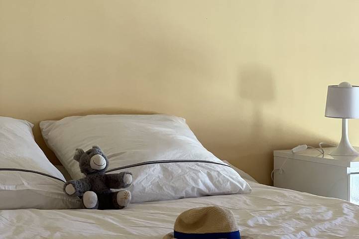 Gîte pour 6 personnes, avec jardin, animaux acceptés à Cessenon-sur-Orb - 3