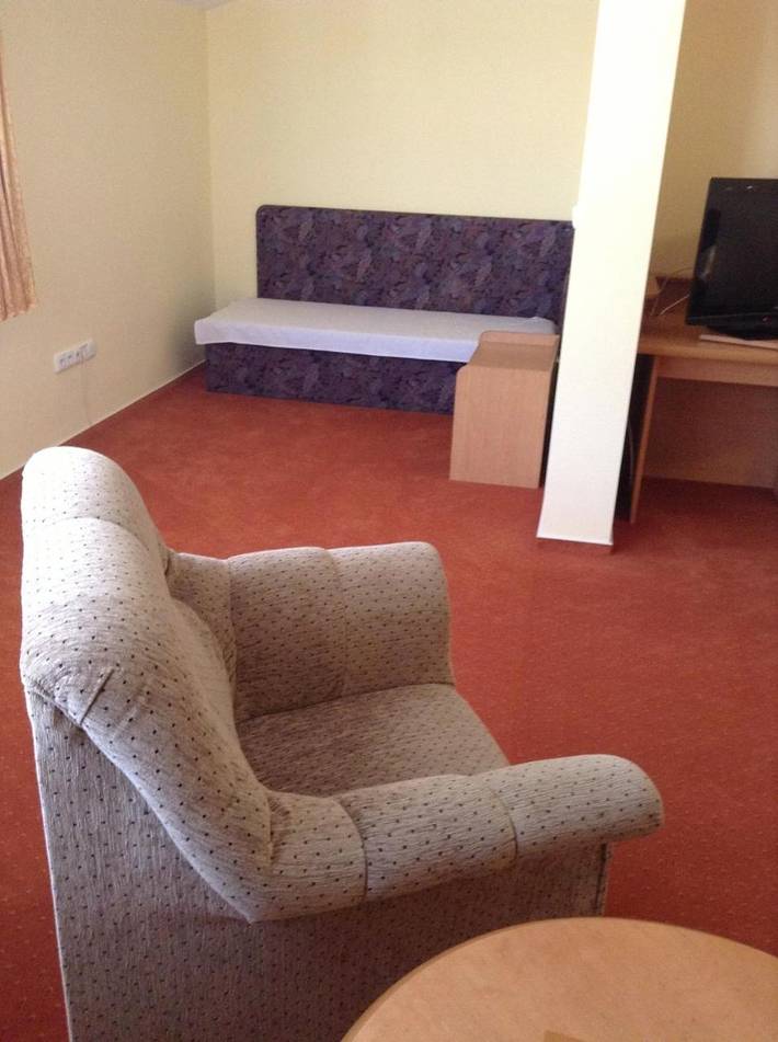 Hôtel pour 5 personnes, avec vue et terrasse, animaux acceptés à Plzeň - 3