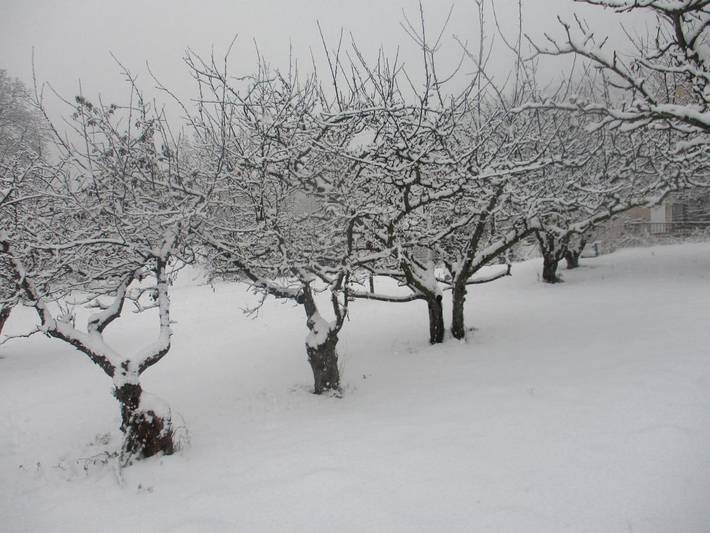 Gîte pour 4 personnes, avec jardin et vue à Casteil - 4