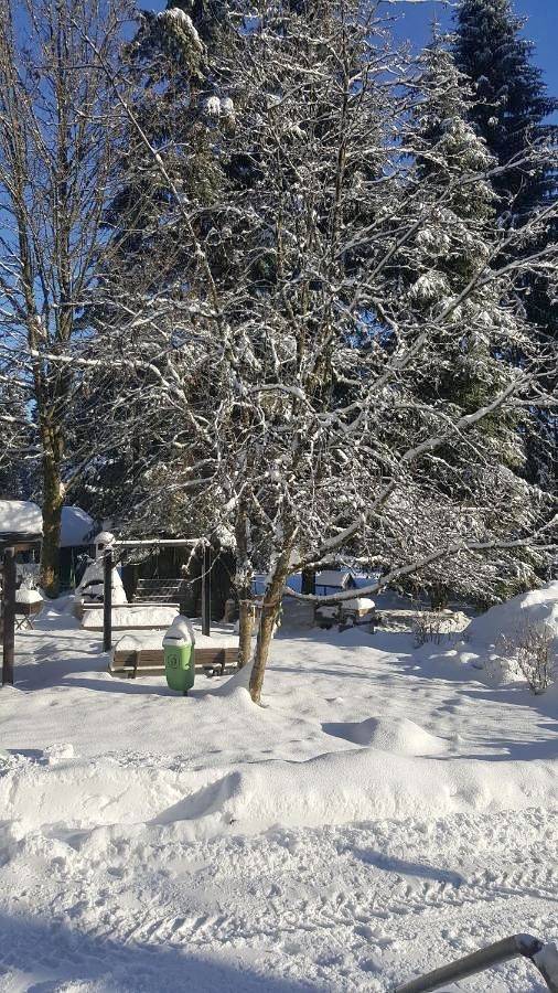 Ferienhaus für 6 Personen, mit Ausblick und Garten, mit Haustier in Neuhaus am Rennweg - 4