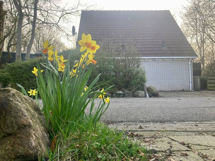 Ferienhaus für 5 Personen, mit Balkon/Terrasse und Garten in Lauwersmeer - 3