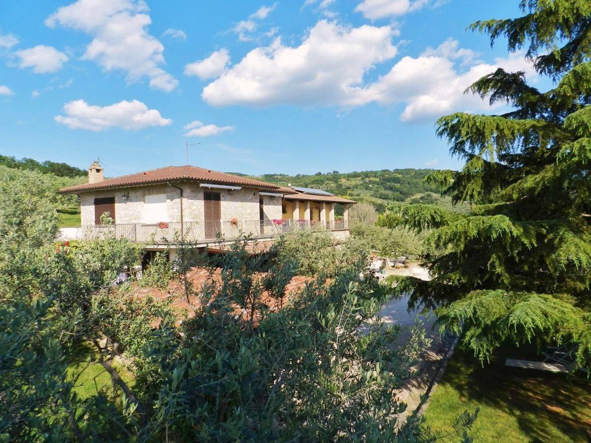 Agriturismo Assisi La Rocca in Assisi, Perugia e dintorni