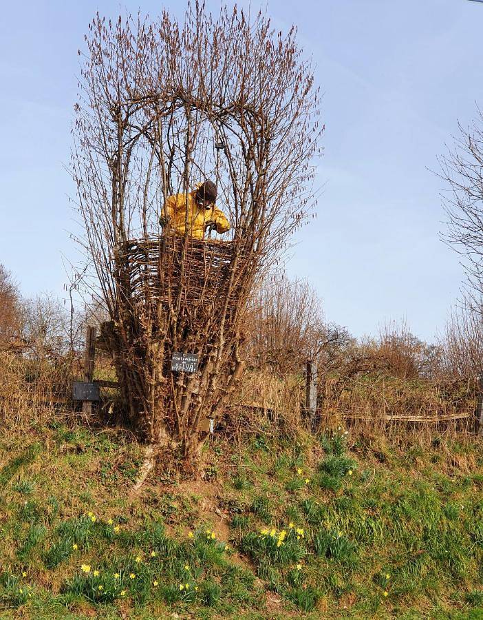 Gîte pour 6 personnes, avec balcon et vue, adapté aux familles dans Bellevaux-Ligneuville - 2
