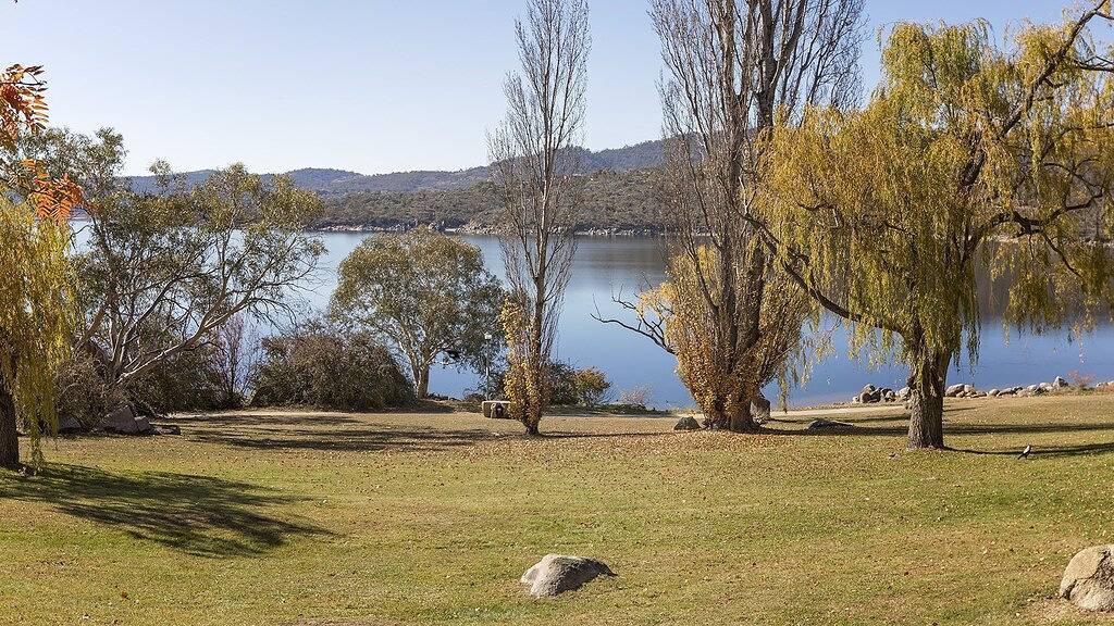 Ganze Wohnung, Grauer K��nguru-auf See Jindabyne Vorland in Jindabyne, New South Wales