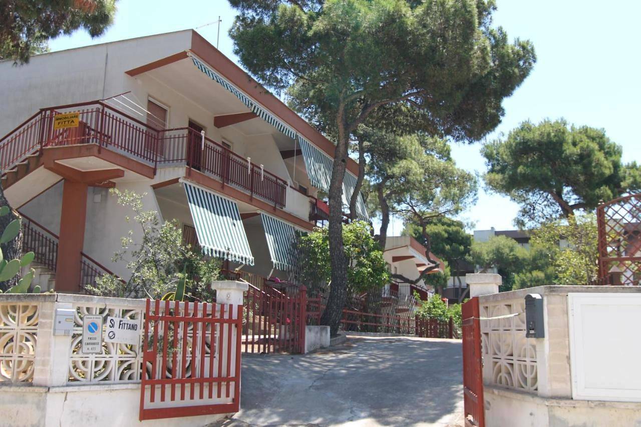 Sea cottage in pinewood in Lido Il Gabbiano, Marina di Ginosa