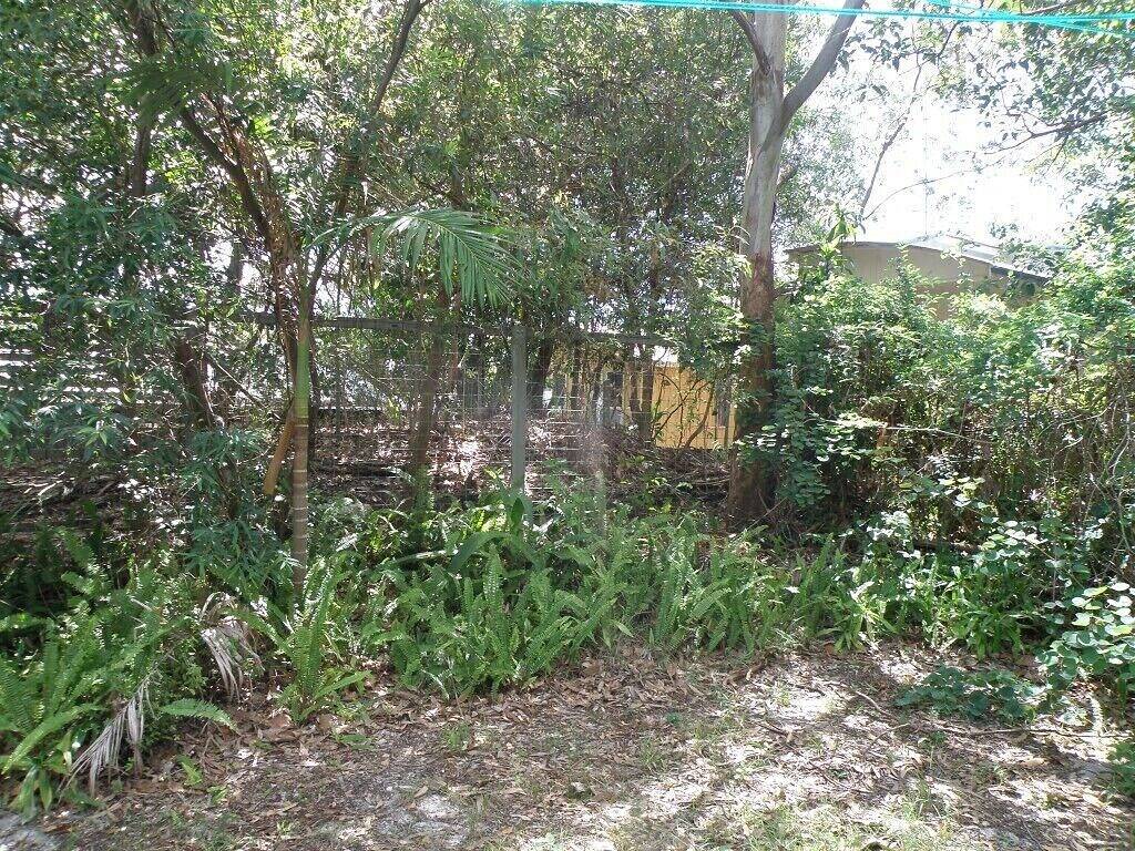 Lazy Days - Aussichtspunkt, Qld in Point Lookout, Brisbane