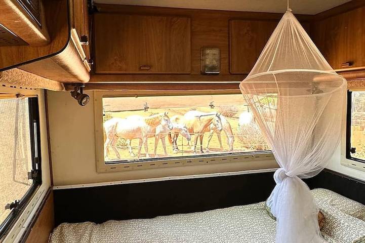 Camping für 4 Personen in Faro Distrikt - 2