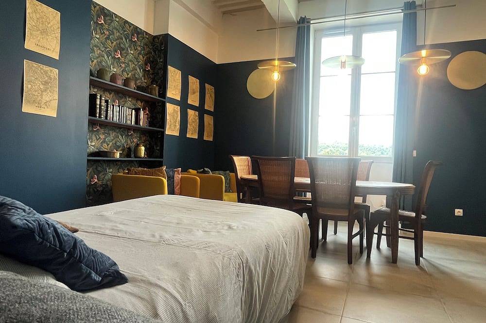 Entire apartment, Apartment overlooking the Rhône, in the 17th-century Commanderie des Antonins. in Vienne (Isère), Vienne region