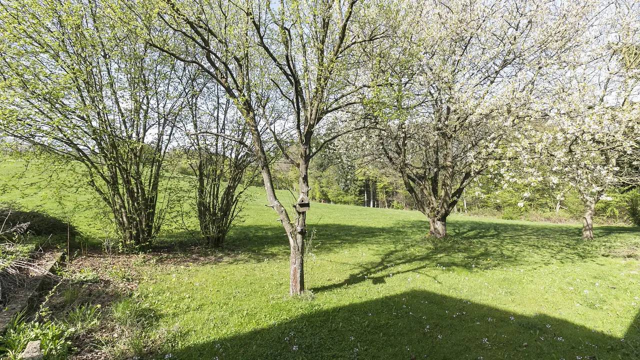 Ganze Ferienwohnung, Ferienwohnung für 3 Personen (55 m²) in Hausen (Wied) in Hausen (Wied), Mittelrhein