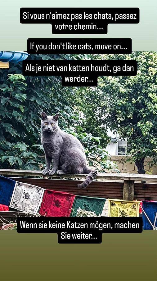 Gîte pour 2 personnes à Calais - 3