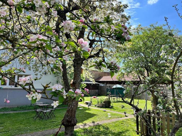 Gîte pour 4 personnes, avec Terrasse ainsi que Jardin et Vue à Grosbliederstroff