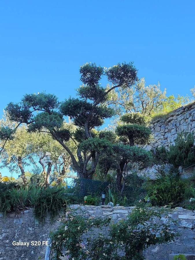 Maison d’hôte pour 2 personnes, avec vue et jardin à Apt