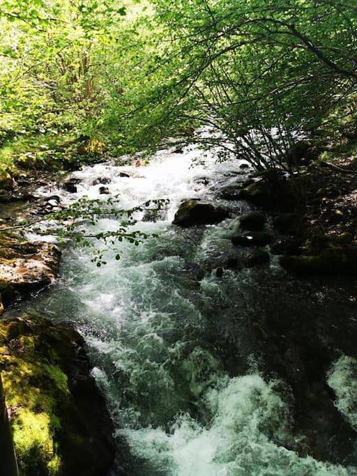 Gîte pour 8 personnes, avec jardin et vue à Ustou - 3