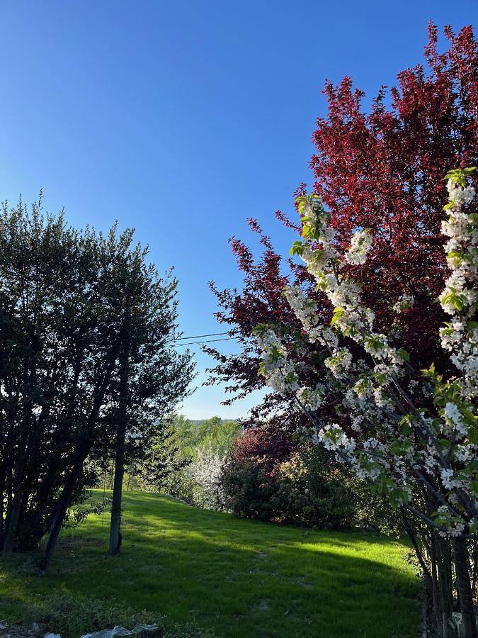 Location de vacances pour 2 personnes, avec vue et jardin à Imola - 3