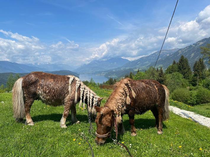 Ferienwohnung für 4 Personen, mit Ausblick und Seeblick sowie Balkon und Garten am Millstätter See - 2