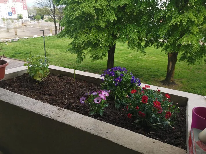 Apartamento de vacaciones para 3 personas, con balcón y vistas - 1