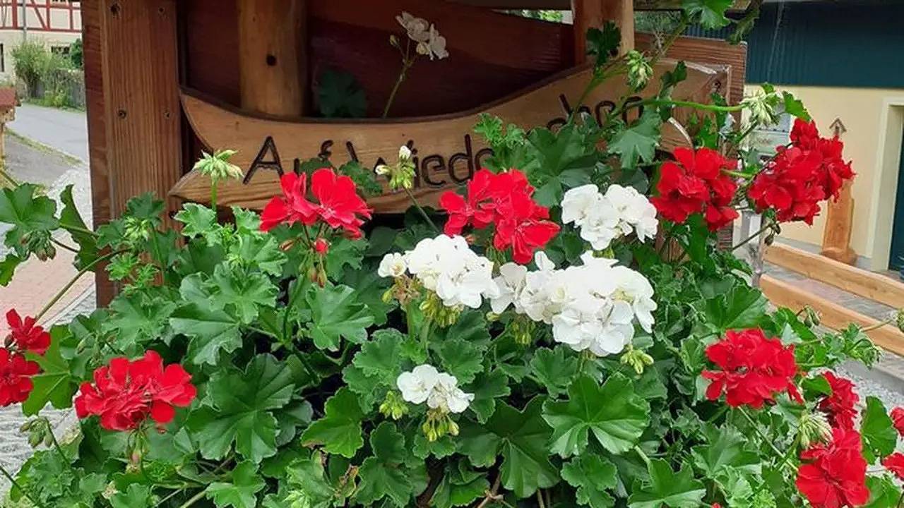 Apartamento vacacional entero, Ferienwohnung für 4 Personen (50 m²) in Sebnitz in Kirnitzschtal, Sebnitz