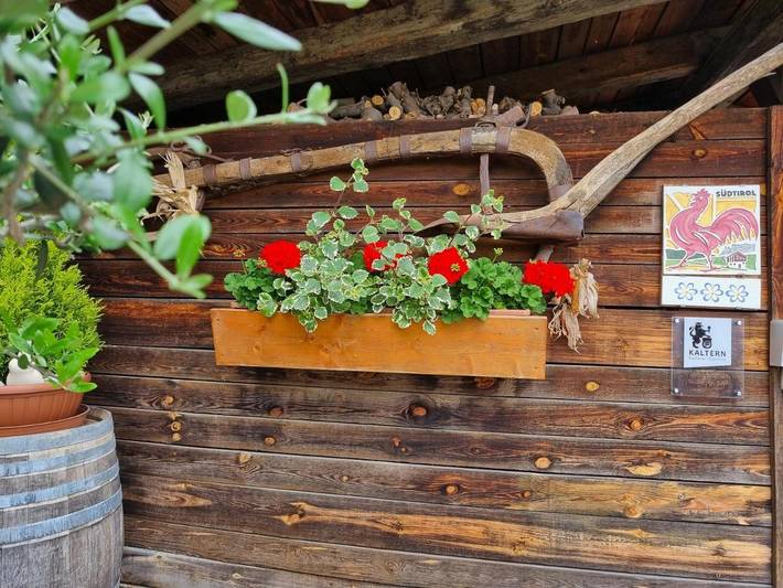 Ferienwohnung für 4 Personen, mit Ausblick und Garten sowie Pool in Kaltern an der Weinstraße - 4