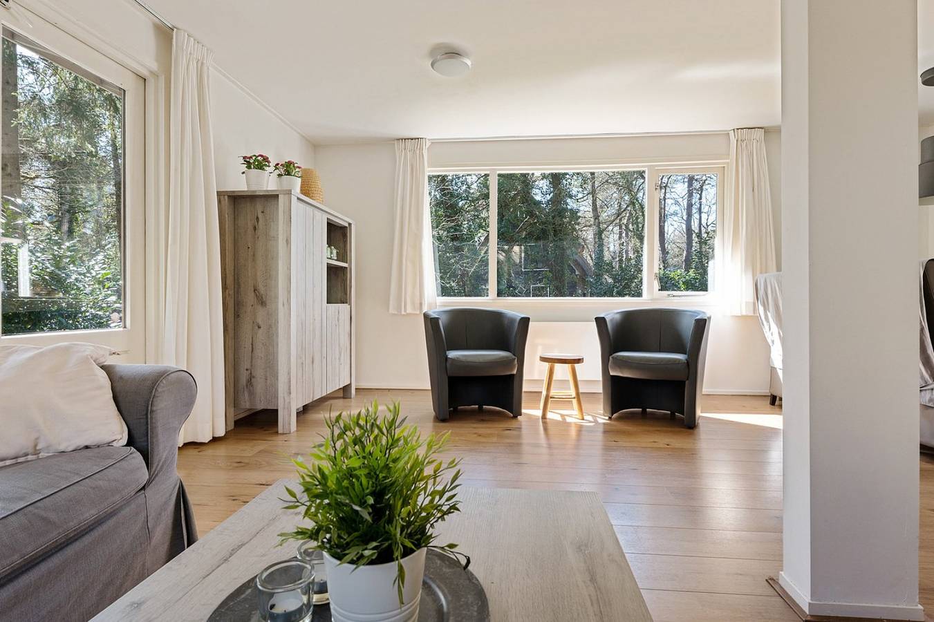 Freistehendes 6-Personen-Ferienhaus mit großem Garten im Wald bei Norg. in Drenthe