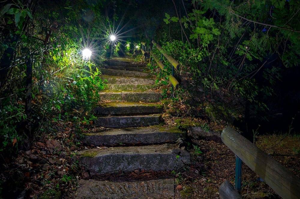 Appartement entier, Atypique insolite pour amoureux de la nature au calme en plein cœur de Barjols in Barjols, Région de Brignoles