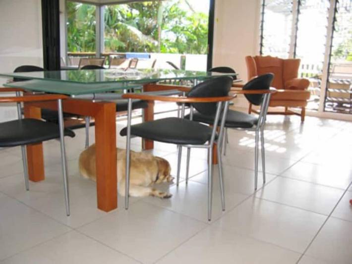 Holiday home for 6 people, with terrace and garden in Peregian Beach