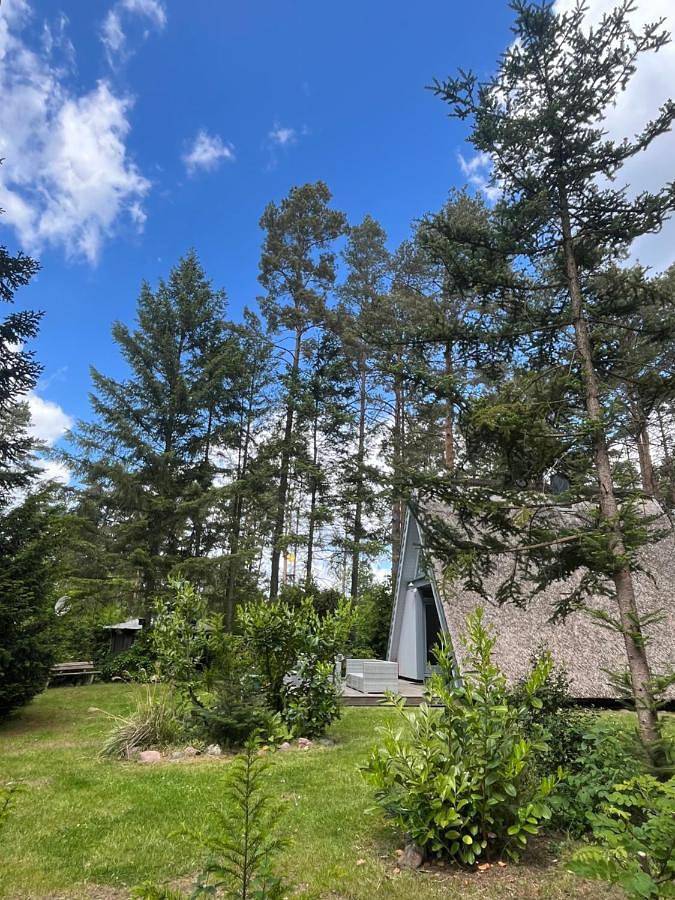 Ferienhaus für 5 Personen, mit Garten und Ausblick sowie Sauna in Biosphärenreservat Schorfheide Chorin - 3