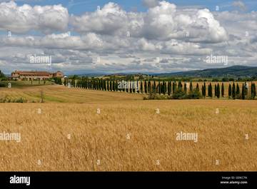 Agriturismo per 7 Persone in Asciano, Siena e dintorni, Foto 2