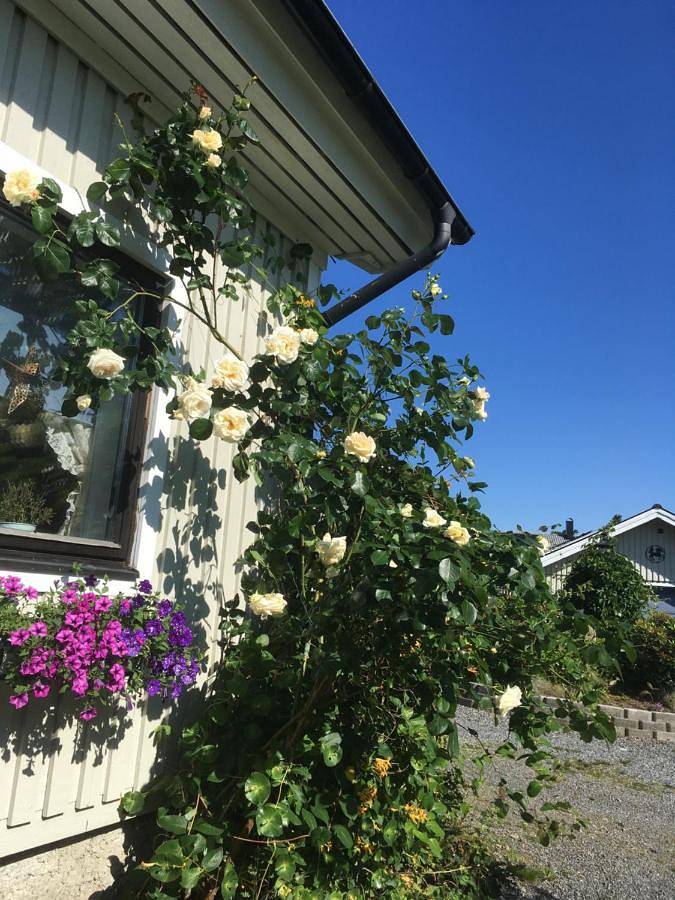 One-Bedroom House in Göteborg, Västergötland