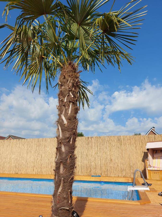 Ferienwohnung für 5 Personen, mit Terrasse und Garten sowie Pool und Sauna in Friesoythe - 3