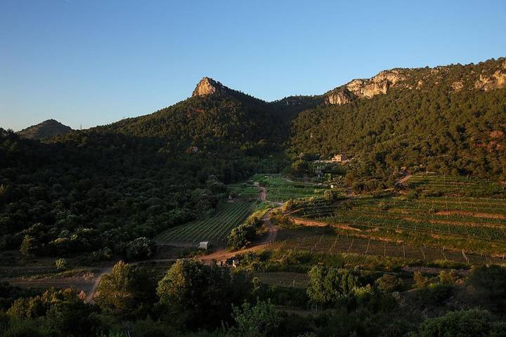 Casa rural para 8 personas, con jardín y piscina, Se admiten mascotas en Priorat - 2