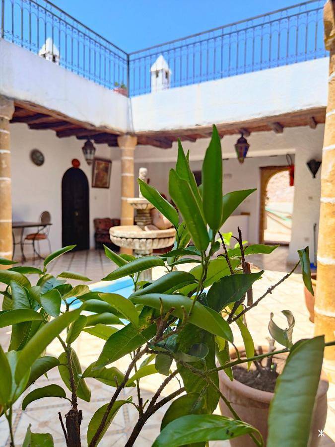 Maison d’hôte pour 2 personnes, avec piscine ainsi que jardin et vue, animaux acceptés dans Ghazoua - 2