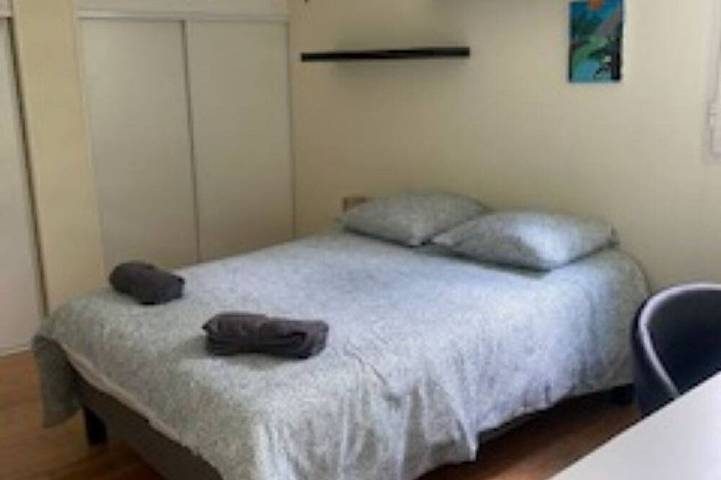 Location de vacances pour 12 personnes, avec jacuzzi et jardin, animaux acceptés à Pessac - 2