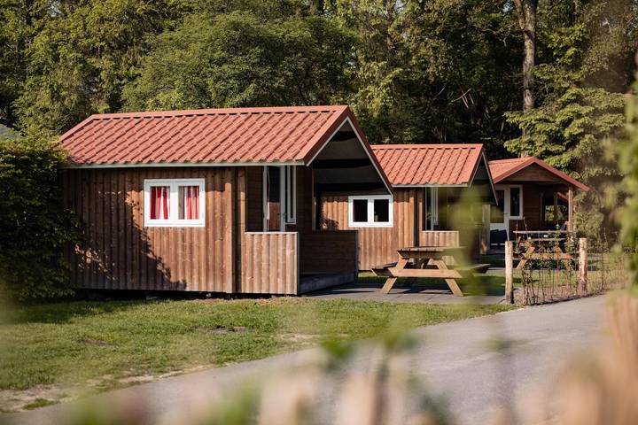 Location de vacances pour 4 personnes dans Nijverdal - 2