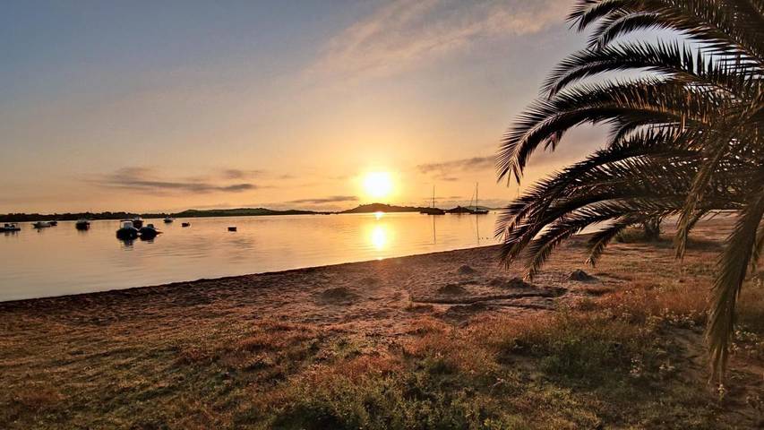Tente pour 5 personnes, avec Terrasse ainsi que Piscine et Vue en Corse-du-Sud