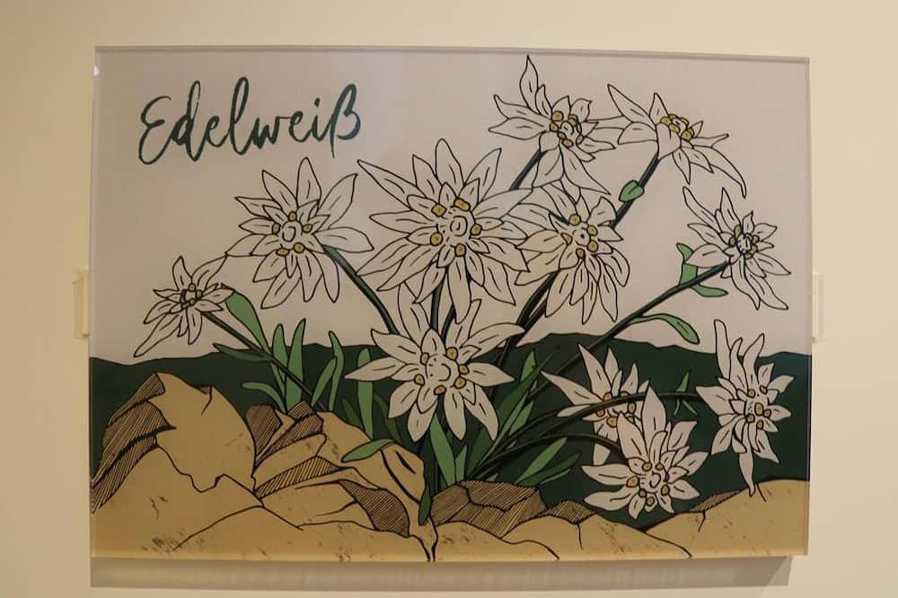 Ferienwohnung Edelweiß - Gasthof Stern in Unterammergau, Bayerische Alpen