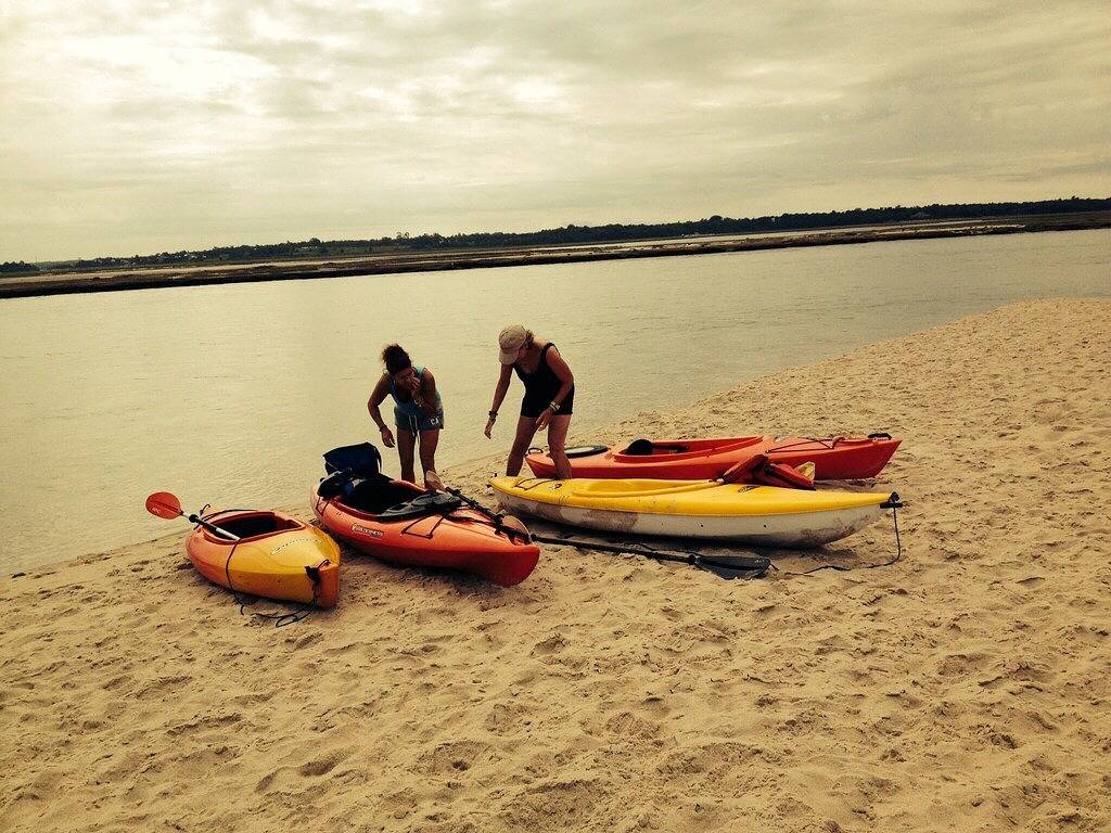 Dennisport: Hundefreundlich mit einem eingezäunten großen Garten. 1/2 Meile vom Strand entfernt in Dennis Port, Dennis