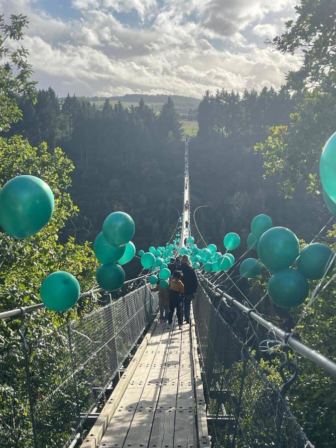 Location de vacances pour 6 personnes, avec vue et jardin, animaux acceptés à Kastellaun - 3