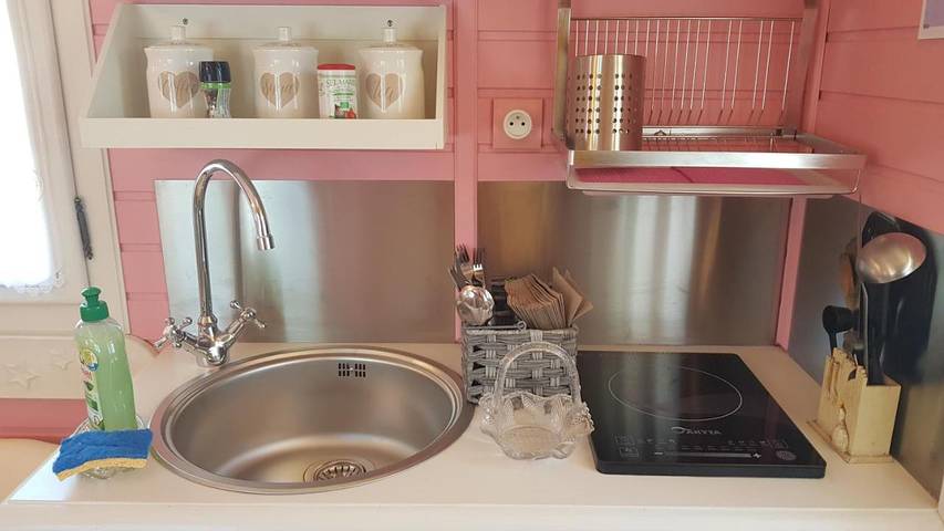 Location de vacances pour 2 personnes, animaux acceptés à Bussac-Forêt - 2