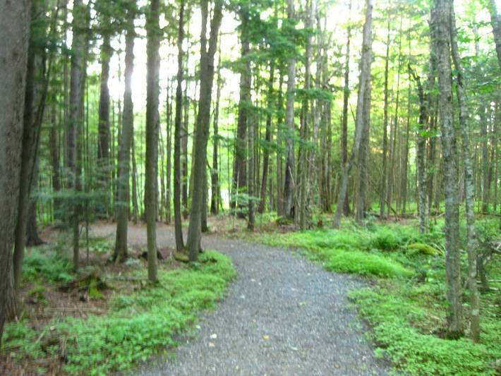 Vacation house for 6 people, with terrace in Vermont