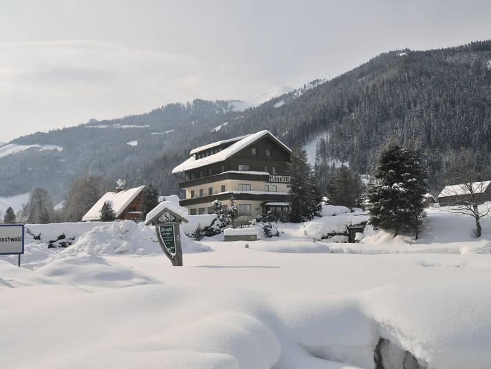 Hotel für 4 Personen, mit Garten, mit Haustier in Donnersbachwald