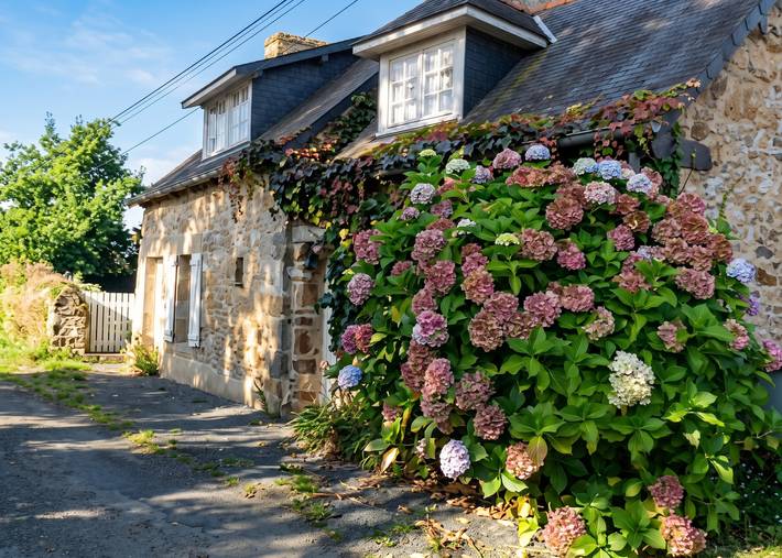 Cozy house in Plouha with enclosed garden in Plouha, Côte de Goëlo