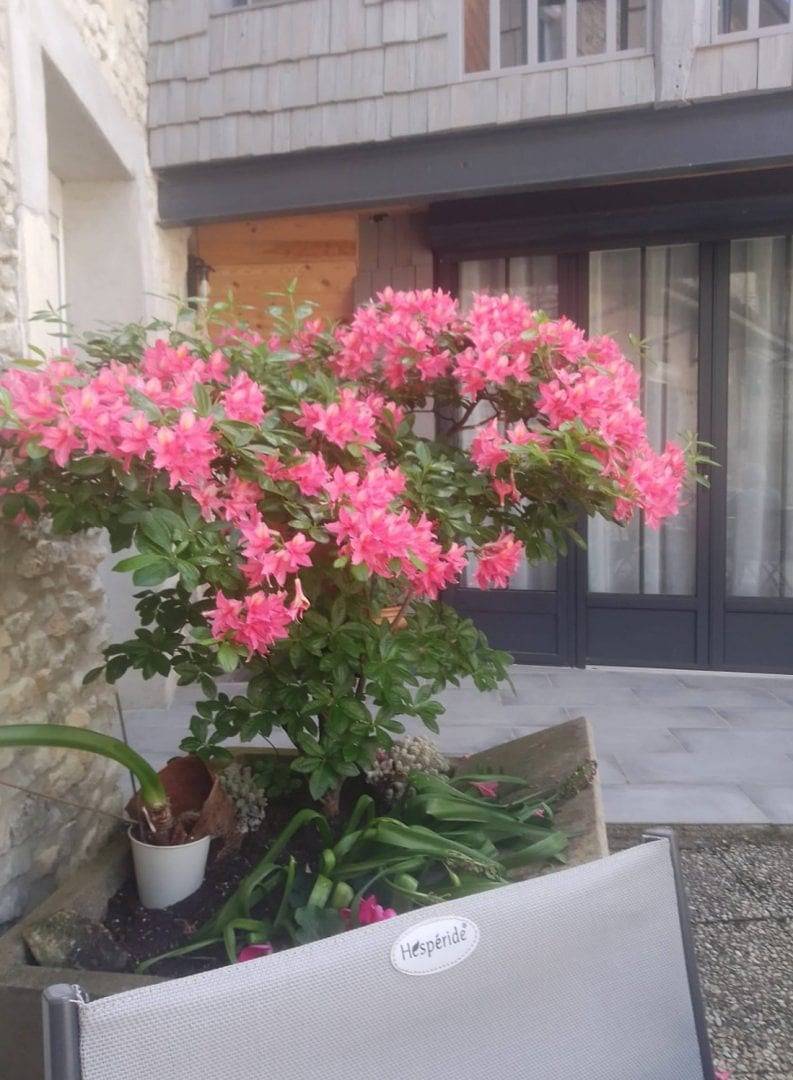 Do et Mi - Chambre fleurie in Monts-sur-Guesnes, Vienne (France)