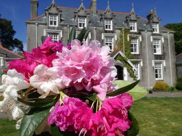 Villa for 19 People in South-Wales, Neath Port Talbot, Photo 2