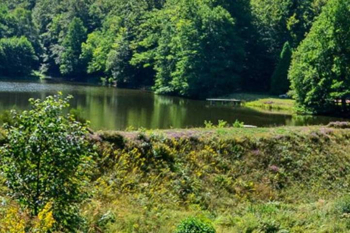 Gîte pour 4 personnes, avec terrasse et jardin, animaux acceptés à Saint-Hilaire-les-Courbes