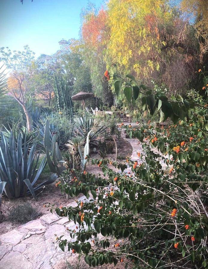 Riad pour 3 personnes, avec jardin ainsi que vue et piscine à Taroudant - 3