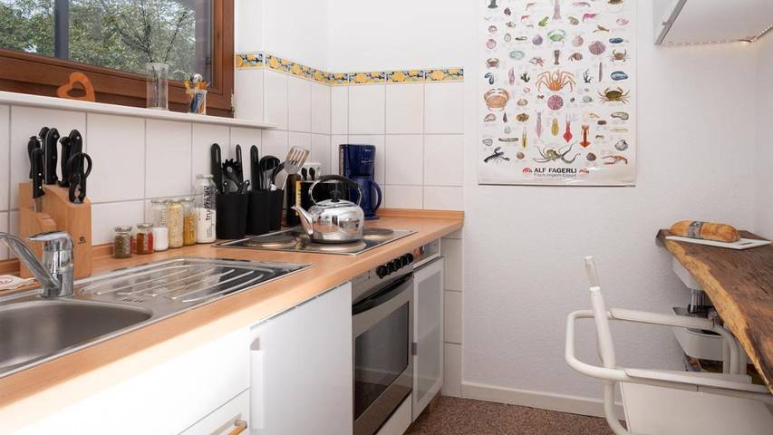 Ferienwohnung für 4 Personen, mit Balkon und Seeblick sowie Ausblick in Neustadt am Rübenberge - 3