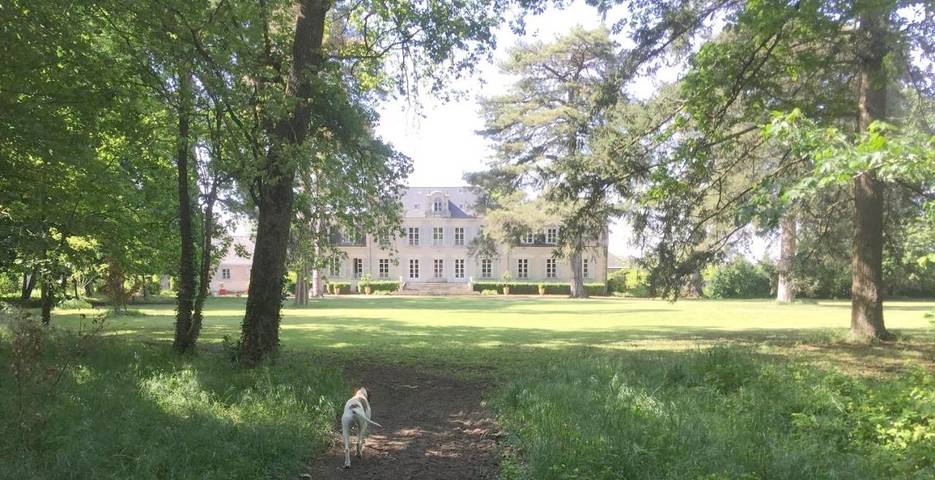 Chambre d’hôte pour 2 personnes, avec jardin ainsi que vue et piscine, animaux acceptés à Candé-sur-Beuvron