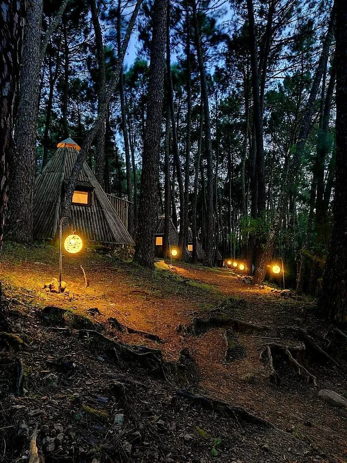 Tente pour 4 personnes, avec sauna ainsi que vue et jardin - 1